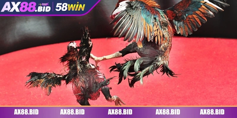 Nắm ngay các chiến thuật chơi nhanh thắng